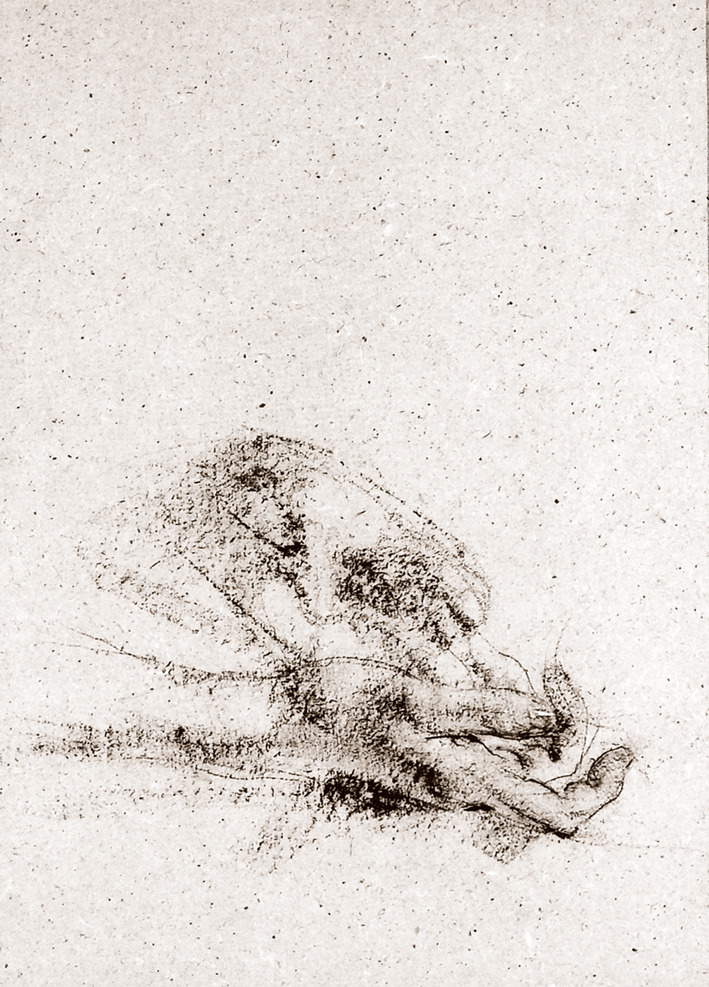  Nicolai Ivanovich Fechin —— 手部习作